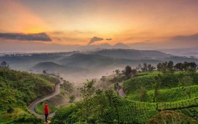 Liburan Mudik Seru? Ke Pangalengan Saja